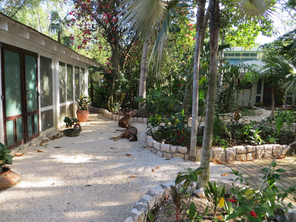 Tingalaya'S Retreat Hotel Negril Exterior photo