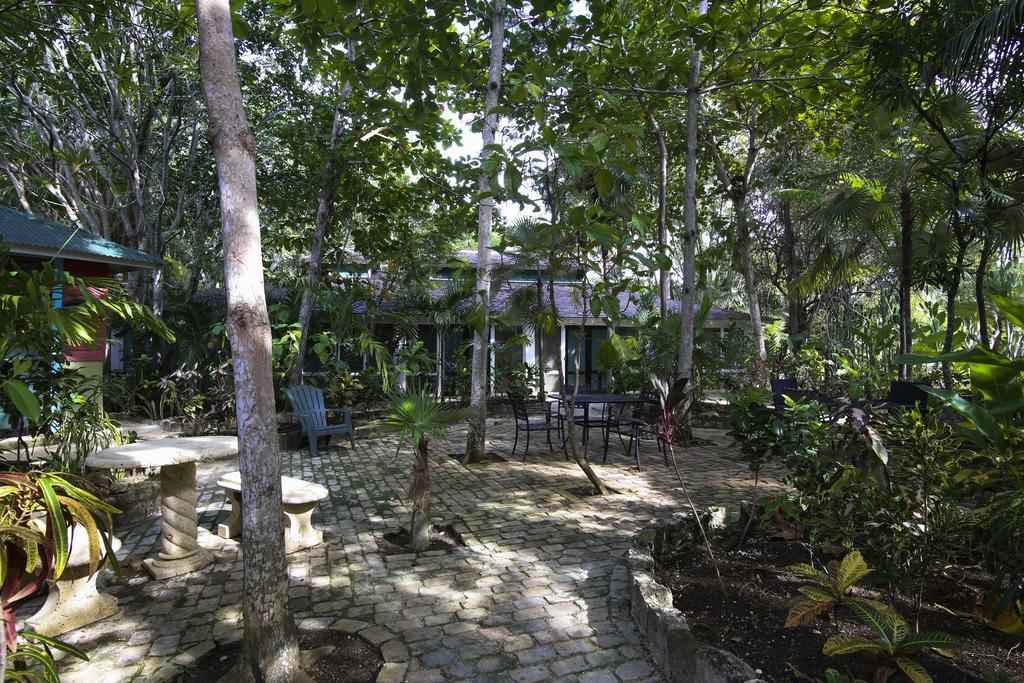 Tingalaya'S Retreat Hotel Negril Exterior photo