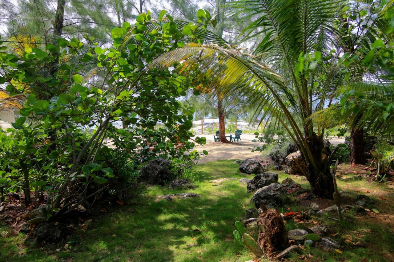 Tingalaya'S Retreat Hotel Negril Exterior photo